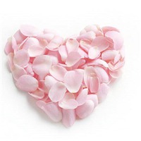 用花瓣组成的心形头像图片