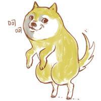 搞笑的柴犬doge表情图片头像