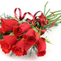 各种颜色的玫瑰花头像图片