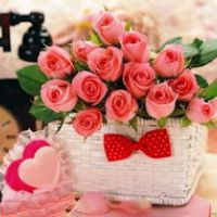 各种颜色的玫瑰花头像图片