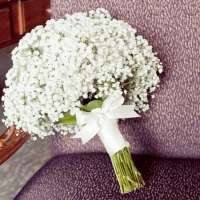 白色捧花头像,双手捧着花的图片头像