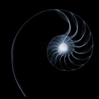 海洋生物个性头像图片大全