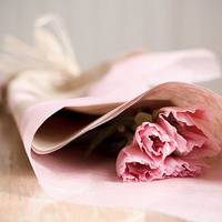 那些好看又清新的唯美花图片头像