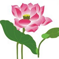 荷花头像卡通,好看的荷花动漫头像图片