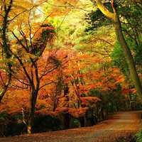 非主流风景头像_好看意境非主流风景图