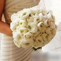 白色捧花头像,双手捧着花的图片头像