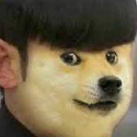 搞笑的柴犬doge表情图片头像