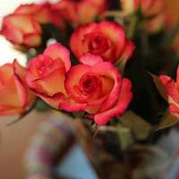 那些好看又清新的唯美花图片头像