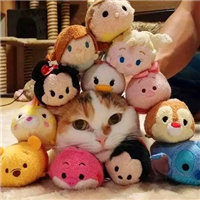 大胖猫头像,超萌的大胖猫图片头像