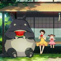 龙猫头像超萌 萌萌的龙猫我的爱