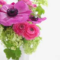 那些好看又清新的唯美花图片头像