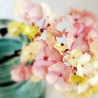 那些好看又清新的唯美花图片头像