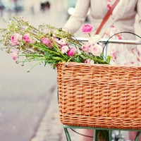 小清新花头像 安静地花儿