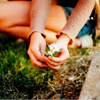 小清新花头像 安静地花儿