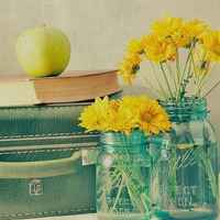 那些好看又清新的唯美花图片头像