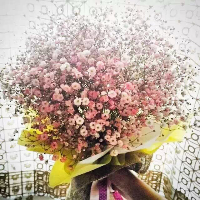 微信头像满天星 满天星花束