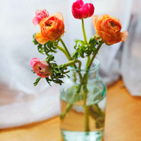 小清新花头像 安静地花儿