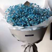 微信头像满天星 满天星花束