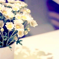 小清新花头像 安静地花儿