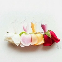 创意花瓣人文艺术头像图片