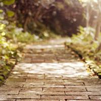 静物风景头像_高清好看唯美小清新风格