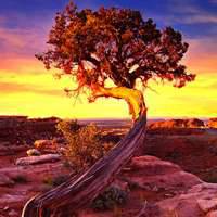 黄昏风景头像 美腻了的黄昏美景