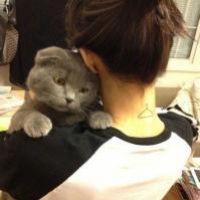 抱猫女头像_愿你是我的小猫