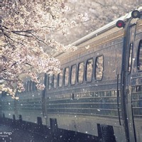 高清好看的唯美意境风景美图