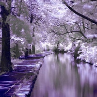 高清好看的唯美意境风景美图