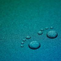 好看的唯美静物头像图片