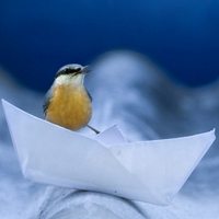 充满童趣表达思念的清美纸船图片