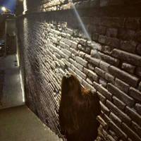 个性情头一对两张 时尚个性的情侣