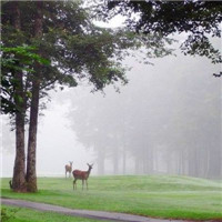 高清好看的唯美意境风景美图