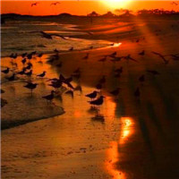 高清好看的唯美意境风景美图