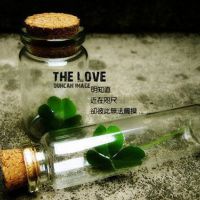 唯美好看的微信头像瓶子图片