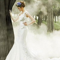 微信头像女生婚纱_只想为你穿一袭婚纱