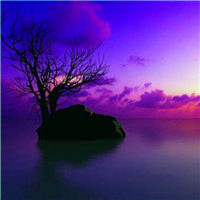 高清好看的唯美意境风景美图