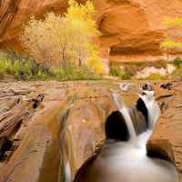 高清好看唯美的美丽自然风景头像图片