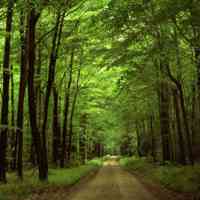 女生高清头像大图_女生的快乐很简单