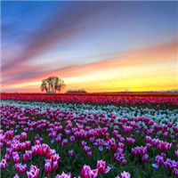 高清好看的唯美意境风景美图