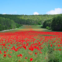 风景优美的微信山水图片头像