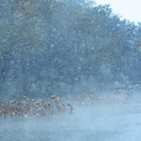 冬天湖雪景图片头像 冬日湖水美景