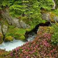 高清好看唯美的美丽自然风景头像图片