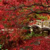 高清好看唯美的美丽自然风景头像图片