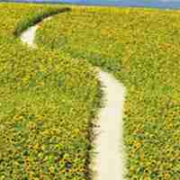 高清好看唯美的美丽自然风景头像图片