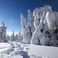 高清好看唯美的美丽自然风景头像图片