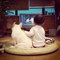 微信头像男生呆萌