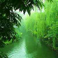 微信头像唯美风景意境