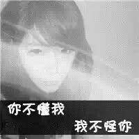 个性灰色带字头像女生 伤痛太深爱上了空城