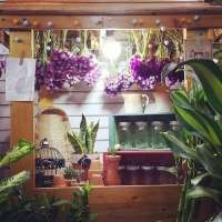 花店照片头像_有意境的花店头像图片